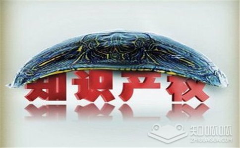 软件著作权保护的是什么？