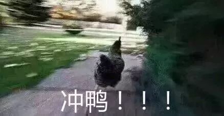 行业动态