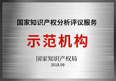 国家知识产权分析评议服务示范机构